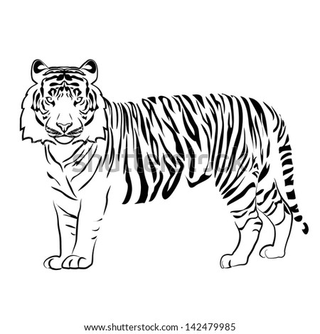 Tiger Outline Vector - 142479985 : Shutterstock