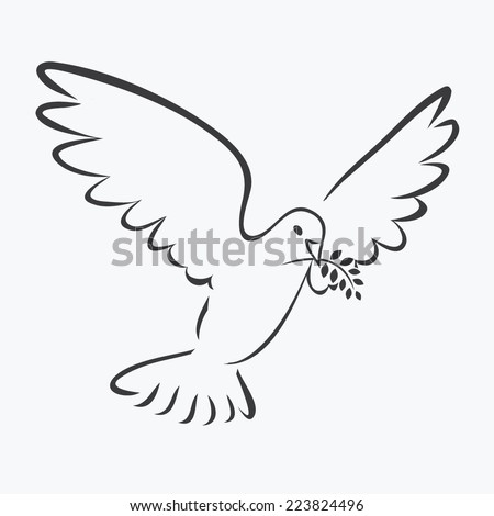 Dove With Olive Branch Outline Illustration Vector - 223824496 ...