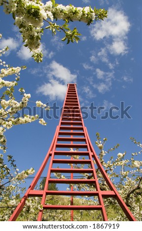 this ladder is listed in guinness book of world records for tallest orchard ladder