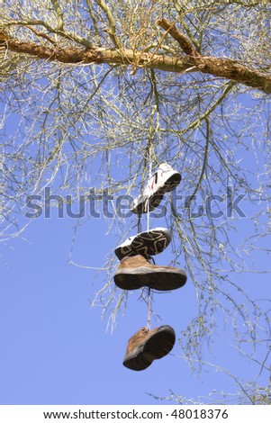 Shoes Hanging Off A Tree Stock Photo 48018376 : Shutterstock