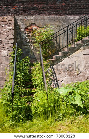 Old stairs abandoned and covered of vegetation