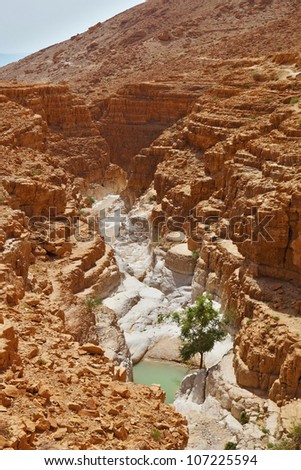 The picturesque narrow slot canyon and a small pool of water in the ancient mountains Dead Sea