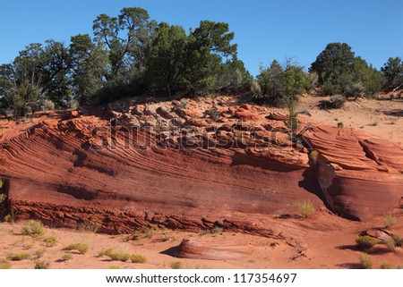 Reserve Coral Pink sand dunes in the U.S.. Steep ravine bright pink