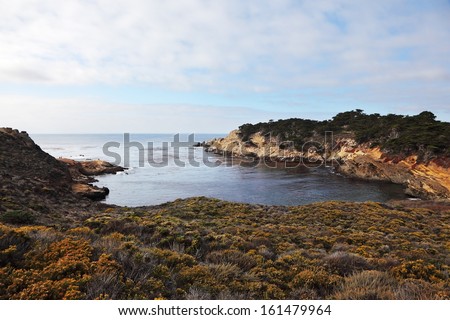A little cool lagoon in the reserve Point Lobos on the Pacific Ocean. USA, California