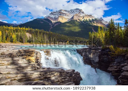 Athabasca Falls, popular with tourists. Rocky Mountains of Canada. The Athabasca River begins at the Columbia Glacier in Jasper Park. Travel, ecological and photo tourism concept Photo stock © 