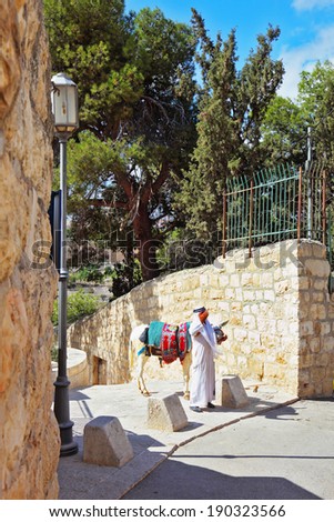 JERUSALEM, ISRAEL - OKTOBER 23, 2010: Elderly Arab in a white national dress and  white donkey posing for tourists. Jerusalem, the Christian Quarter