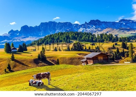 Similar – Image, Stock Photo Photographing autumn in the morning sun….   Shadow selfie in the park …