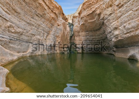 Unique canyon in the desert. Picturesque canyon Ein-Avdat in the Negev desert. Clean cold water in the creek canyon. Sandstone walls apart, like butterfly wings