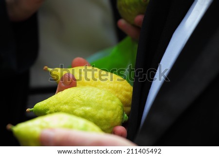 BNEI- BRAK, ISRAEL - SEPTEMBER 22, 2010: Religious Jew chooses ritual plant - citron - in the market on the eve of Sukkot