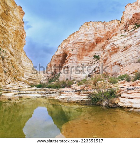 Clean cold water in the creek canyon. Sandstone walls apart, like butterfly wings. Picturesque canyon En-Avdat in the Negev desert