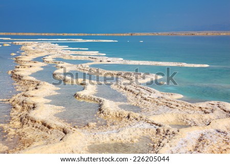 The picturesque path from the evaporated salt in the Dead Sea. Salt formed long paths with scalloped edges. Israel in October