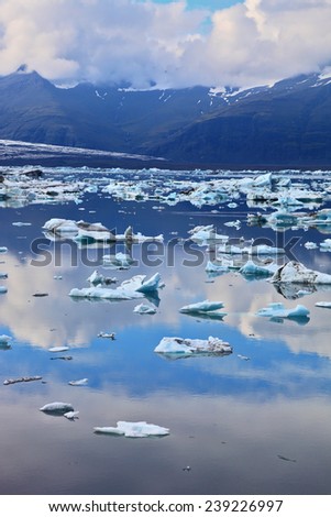 Icebergs and ice floes in the Ice Lagoon Jokulsarlon. South-east Iceland in July