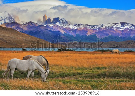 Lake Laguna Azul in the mountains. On the shore of Lake grazing horses. Impressive landscape in the national park Torres del Paine, Chile