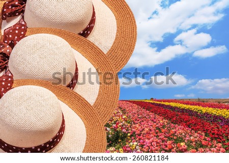 Bright festive colorful blooming field of buttercups. Beautiful elegant wide-brimmed hats decorated with spring Easter landscape