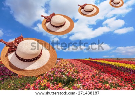 Bright festive colorful blooming field of buttercups. Flying elegant wide-brimmed hats decorated with spring Easter landscape