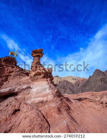 Unique outcrops  in the mountains of pink sandstone. Sharp-horned mountain goat in the Eilat Mountains