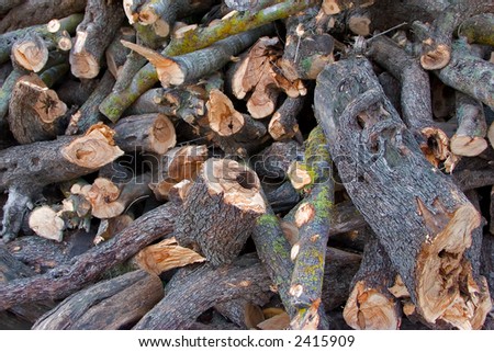 Greater heap of fire wood prepared for the winter