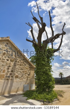 Silent rural hotel in fine spring day about ancient historical city Toledo in Spain