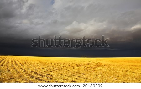 The thunder-storm in a countryside in state of Montana begins