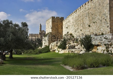 A green lawn and trees at a wall of Jerusalem near David\'s tower