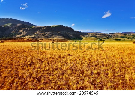 Boundless fields on the American farms