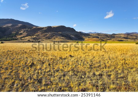 Boundless fields on the American farms