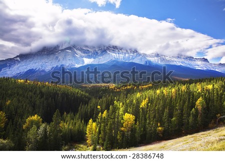 Northern landscape - snow mountains and yellow bushes