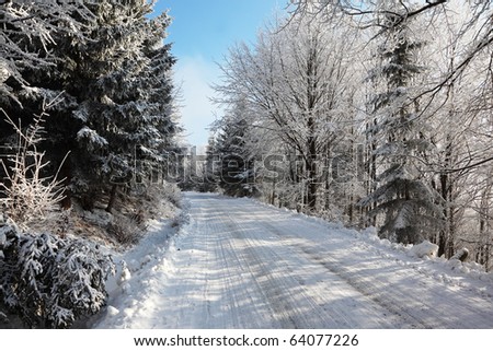 Winter fairy tale. Snow-covered winter wood and a wide ski track.