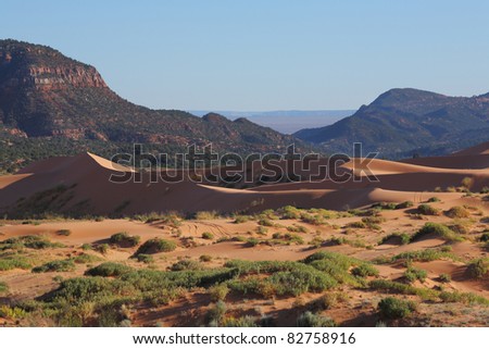 Reserve Coral Pink sand dunes in the U.S.. Gracefully curved orange-pink sand dune covered the rising sun