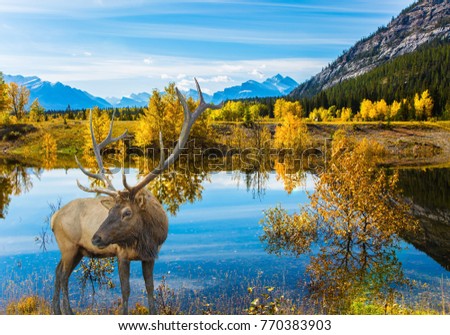Lake Abraham