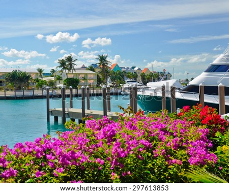 Boats line a tropical Caribbean waterway surrounded by colorful flowers