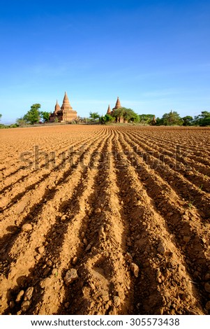 Landscape view of ancient temples and field with leading lines, Bagan, Myanmar