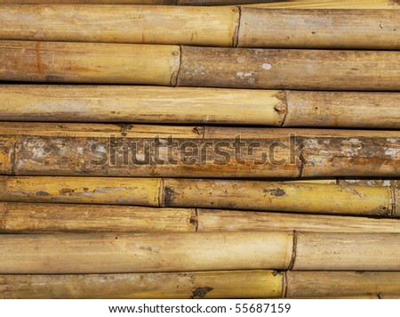 Old Bamboo Stock Photo 55687159 : Shutterstock