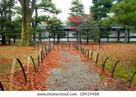 The back yard of Japanese garden, in fall