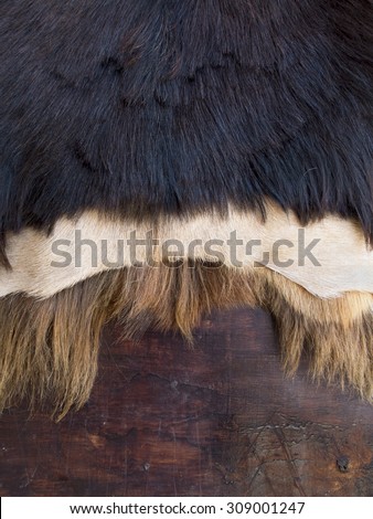 Close up of black,white and brown skinned goat fur on a wooden background