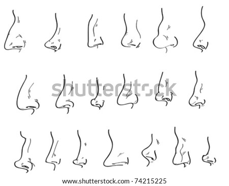 A Collection Of Differently Shaped Noses. Stock Vector Illustration ...