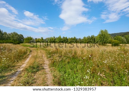 Green Meadow