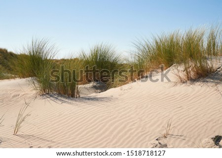 Coastal Sand