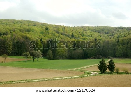 Green landscape with forest and field