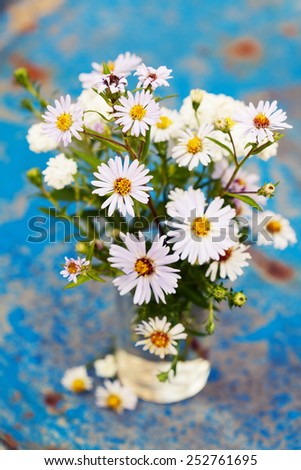 Summer bouquet of field flowers on bright background