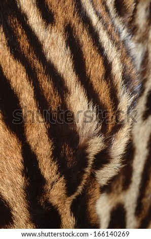 tiger skin pattern