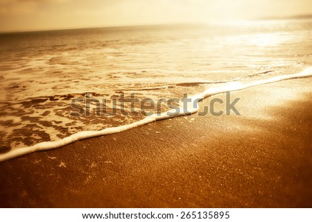Golden Sea Foam. Sunset close up of golden sea foam - Holiday background.