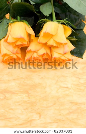 Orange rose bouquet and wrapping paper
