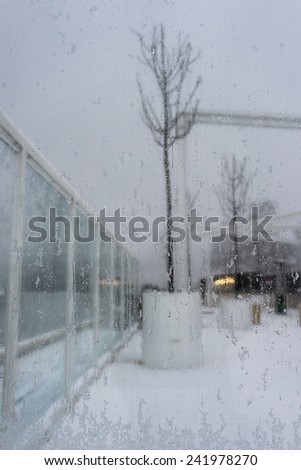 Tree without leaves in winter white pot on the terrace behind the glass with drops of wet snow