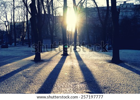 Bright spring sun shining through the trees in the park with shadows on the ice