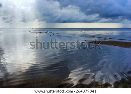 Man walks on the beach with reflection of clouds and gulls in the Baltic Sea. Jurmala, Latvia
