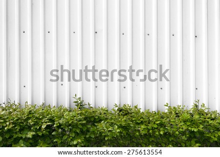 Bushes with green leaves in a white linear steel white metal fence