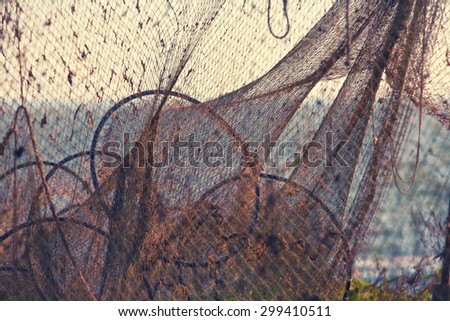 Circles and cell fishing nets on the shore of the sea in the evening light