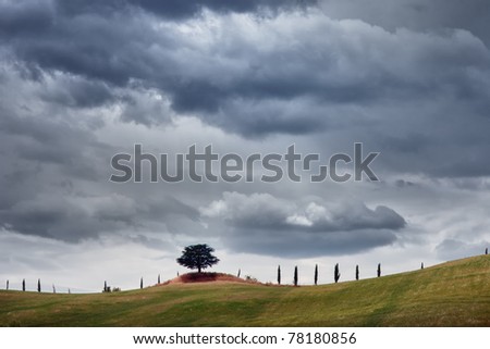 Lonely tree and a line of cypress trees on the hill on a background of the sky of Tuscany dramatic stormy sky of Tuscany in Italy