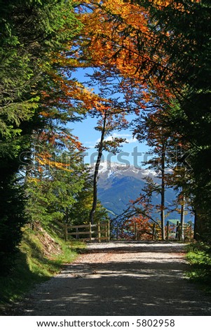 Scenic view of forest path in autumn colors and mountains in the distance